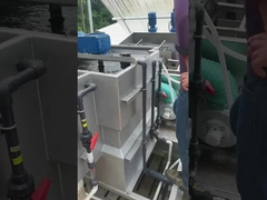 Automatyczne odwodnianie z stali nierdzewnej wielo dyskowe śruby prasowe, zestawione śruby, osuszacz błota